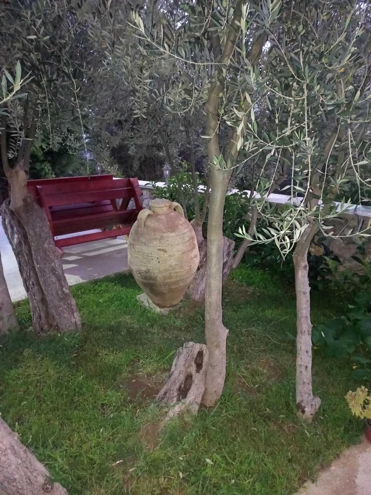 Rustic Villas Barlovic ウルツィニ エクステリア 写真