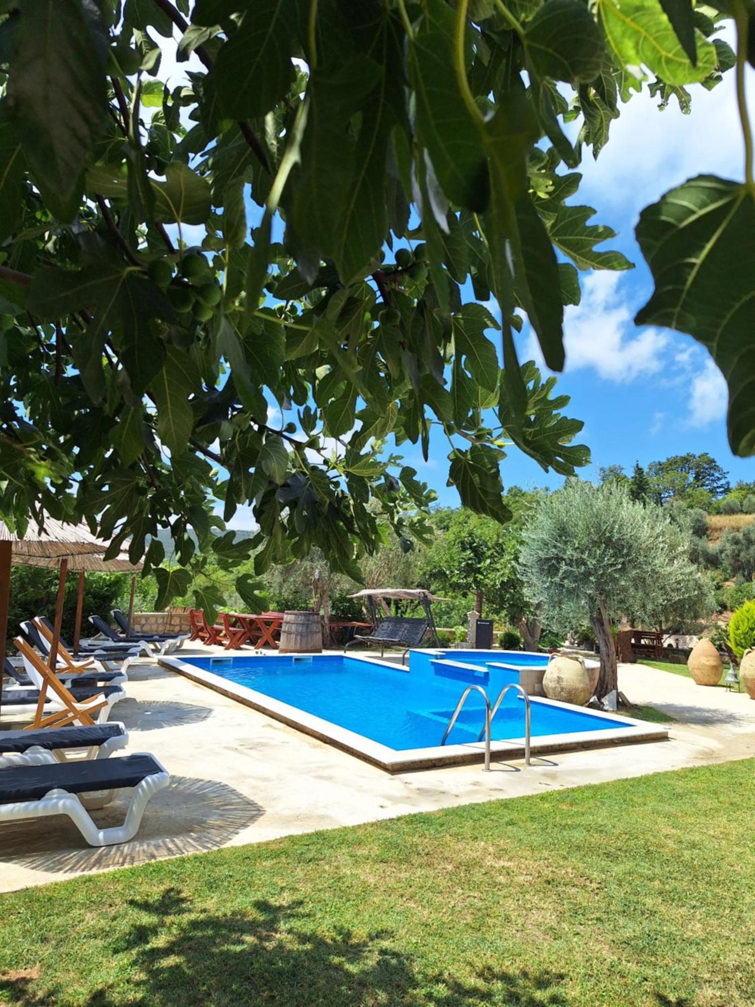 Rustic Villas Barlovic ウルツィニ エクステリア 写真