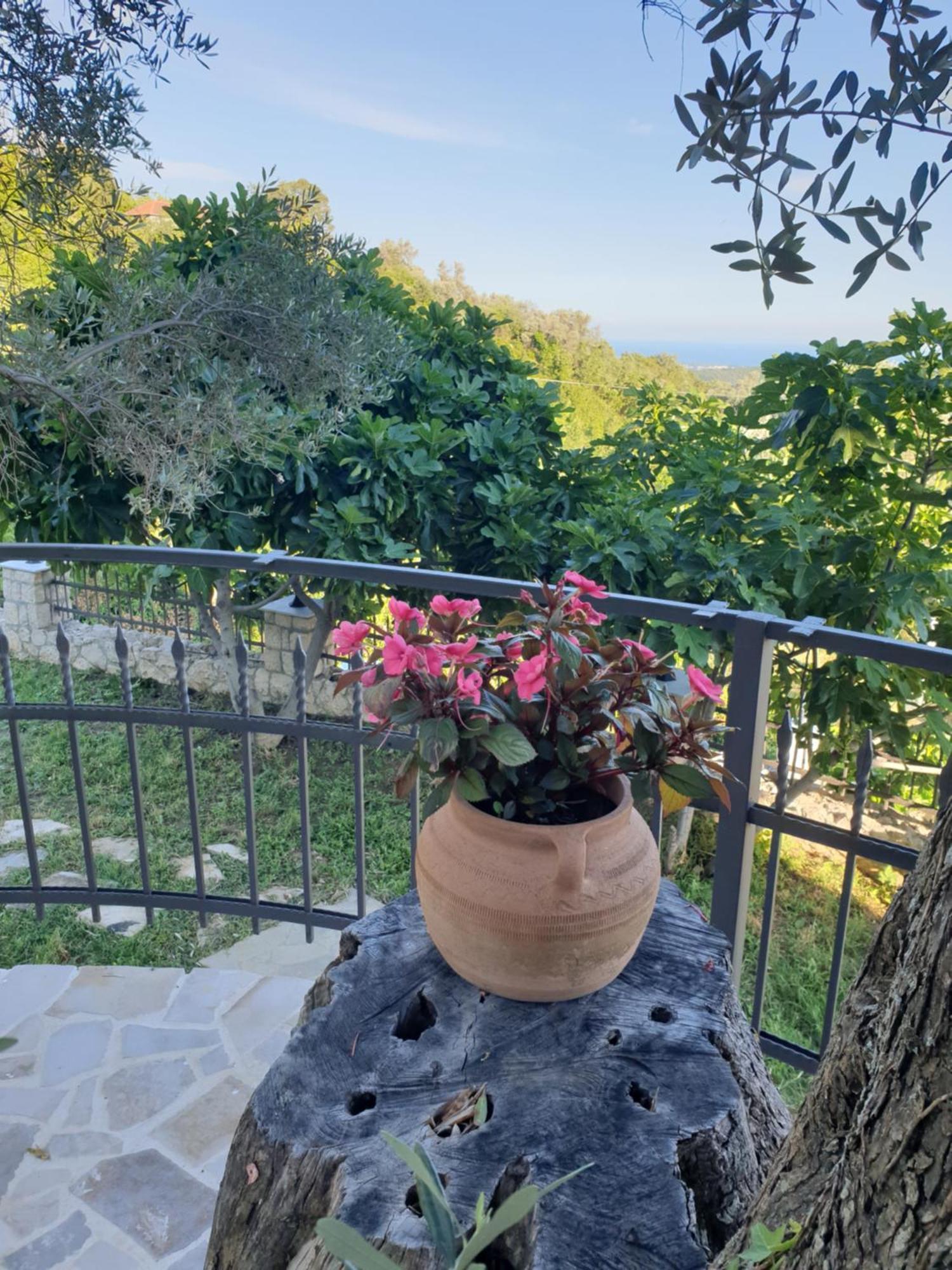 Rustic Villas Barlovic ウルツィニ エクステリア 写真